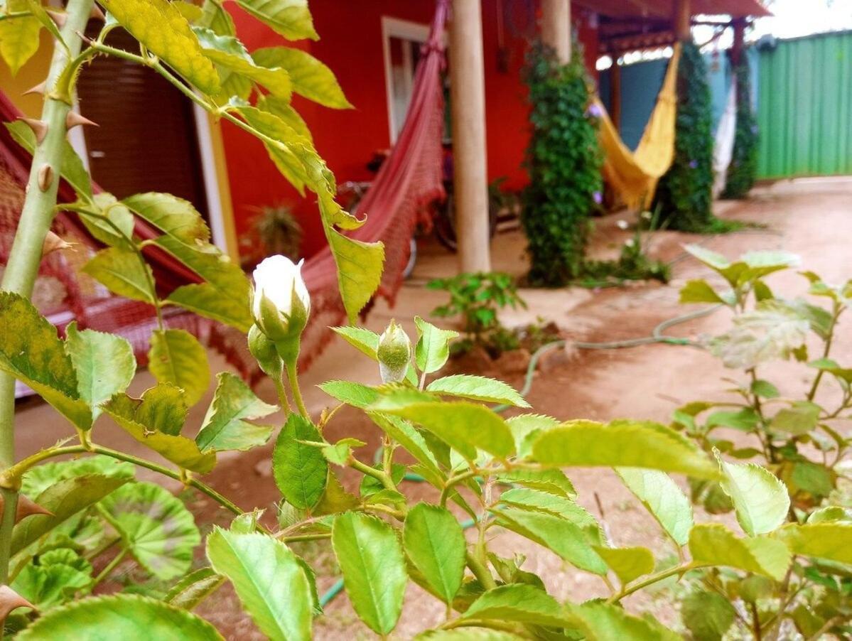 Villa Agape - Chapada Dos Veadeiros Alto Paraíso de Goiás Exterior foto