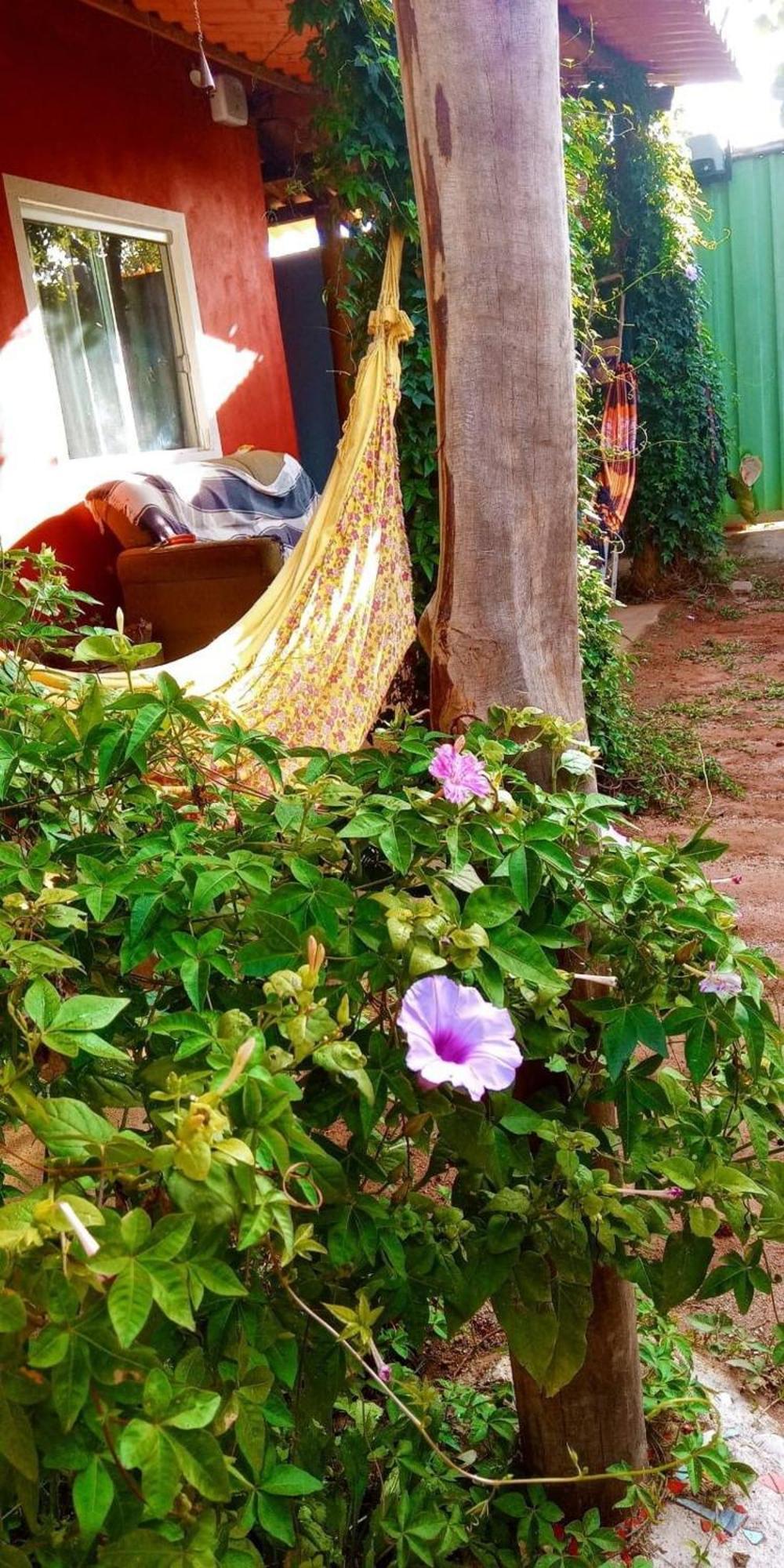 Villa Agape - Chapada Dos Veadeiros Alto Paraíso de Goiás Exterior foto