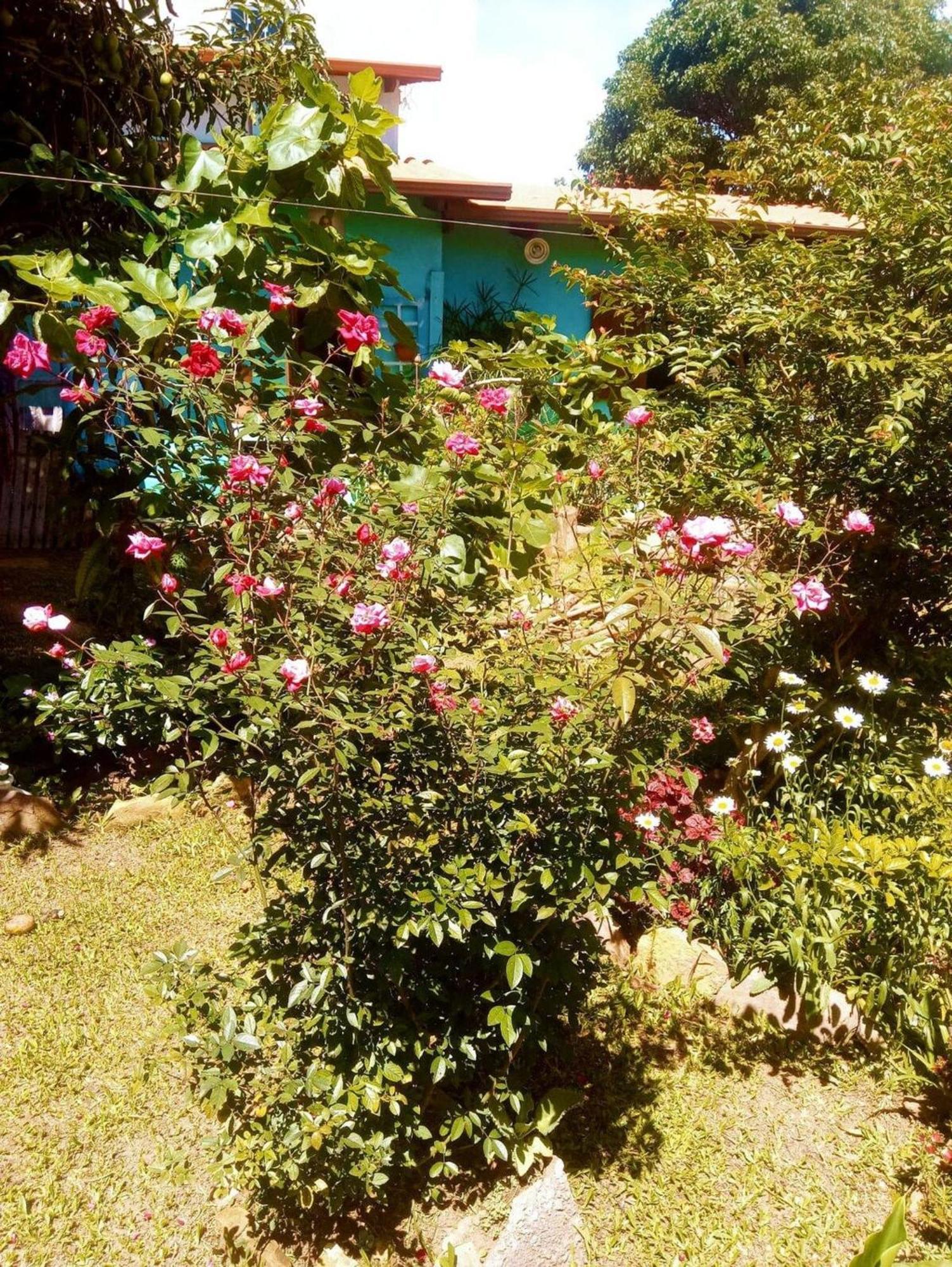 Villa Agape - Chapada Dos Veadeiros Alto Paraíso de Goiás Exterior foto